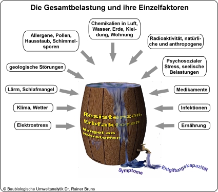 Fassmodell Umweltbelastung